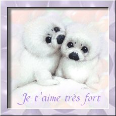 je t'aime trés fort tu sait